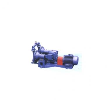 DBY electric diaphragm pump